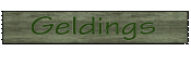Geldings