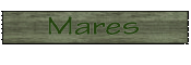 Mares